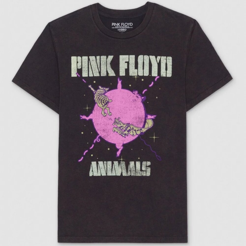 Men's Pink Floyd Short Sleeve Graphic T-Shirt - Gray, Small